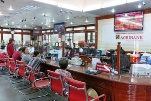 Agribank giảm 0,5% lãi suất cho vay ngay sau quyết định của Ngân hàng Nhà nước ảnh 1